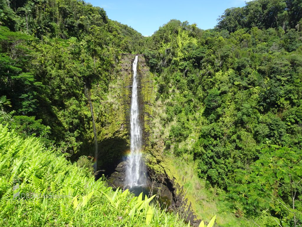 Akaka Falls Hawaii Big Island (1)