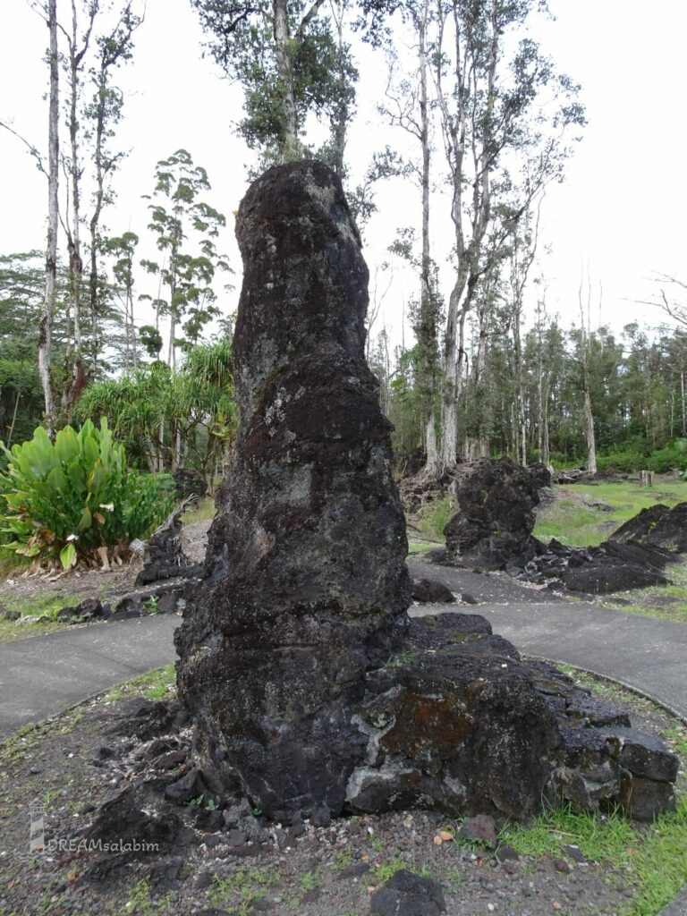 Lava Tree State Hawaii Big Island (2)