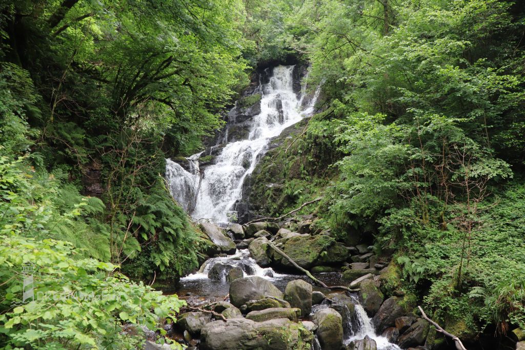 Irland Torc Waterfall Killarney Nationalpark